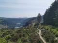 Glendalough-Spinc-Walk-2